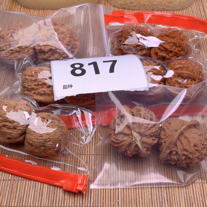 文玩核桃把件817号6对