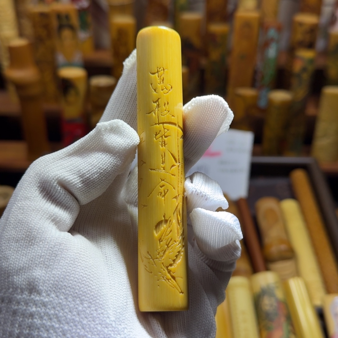 竹类精品实心玉竹