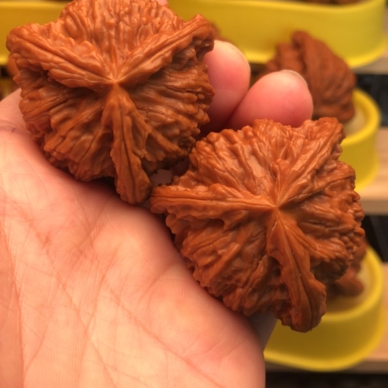 核桃核桃核桃核桃