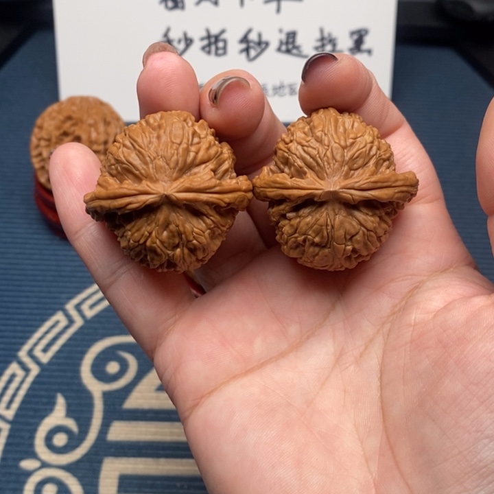 38尺狮子 已修尖打底 福利价