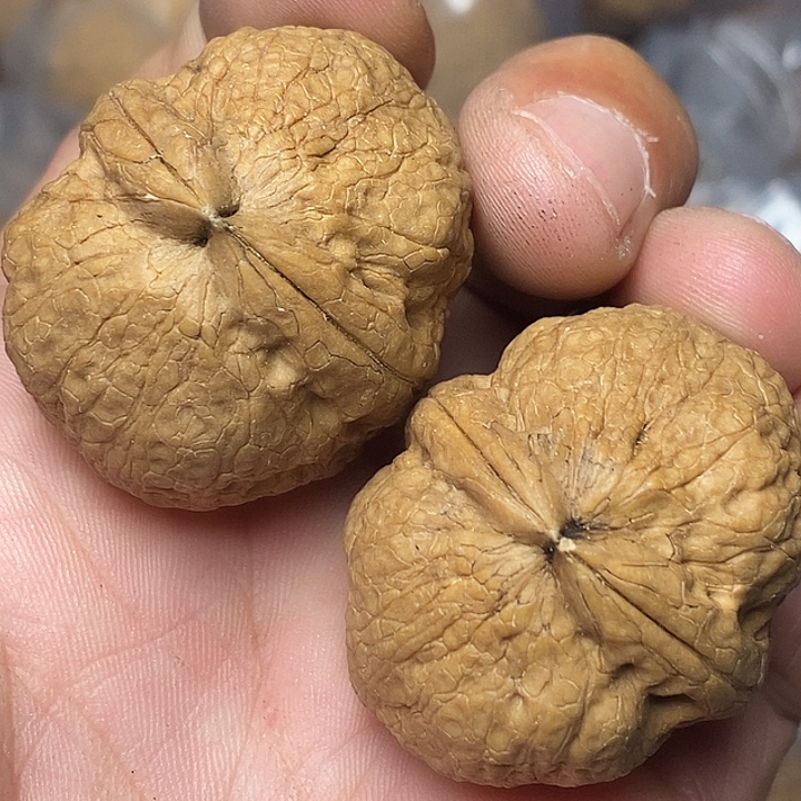 把件文玩核桃志成云铁文玩95