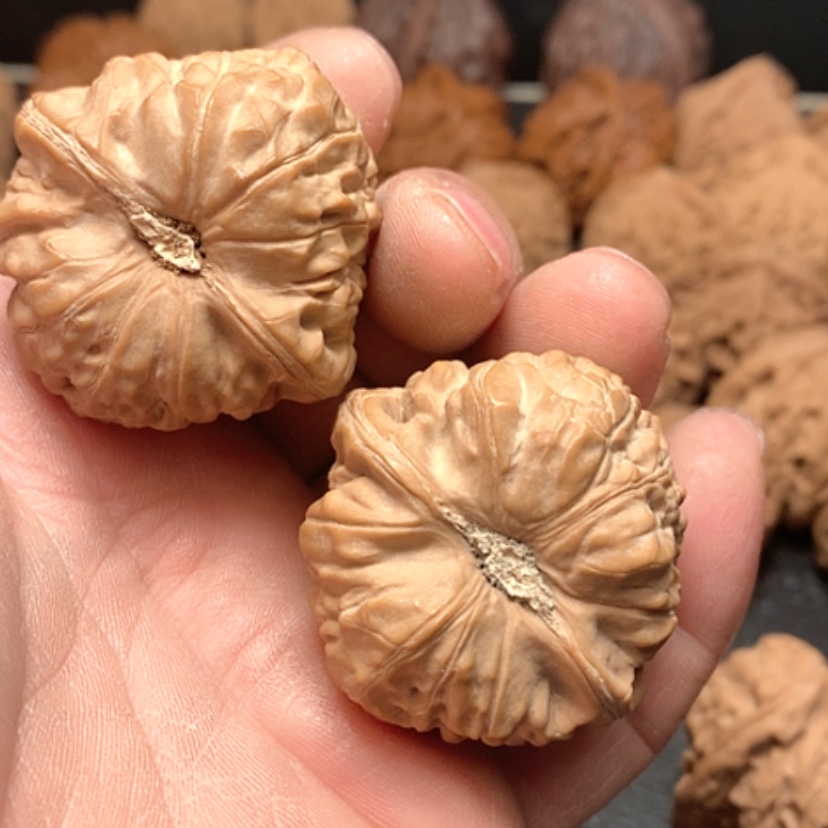 【闪购商品】海*南瓜墩