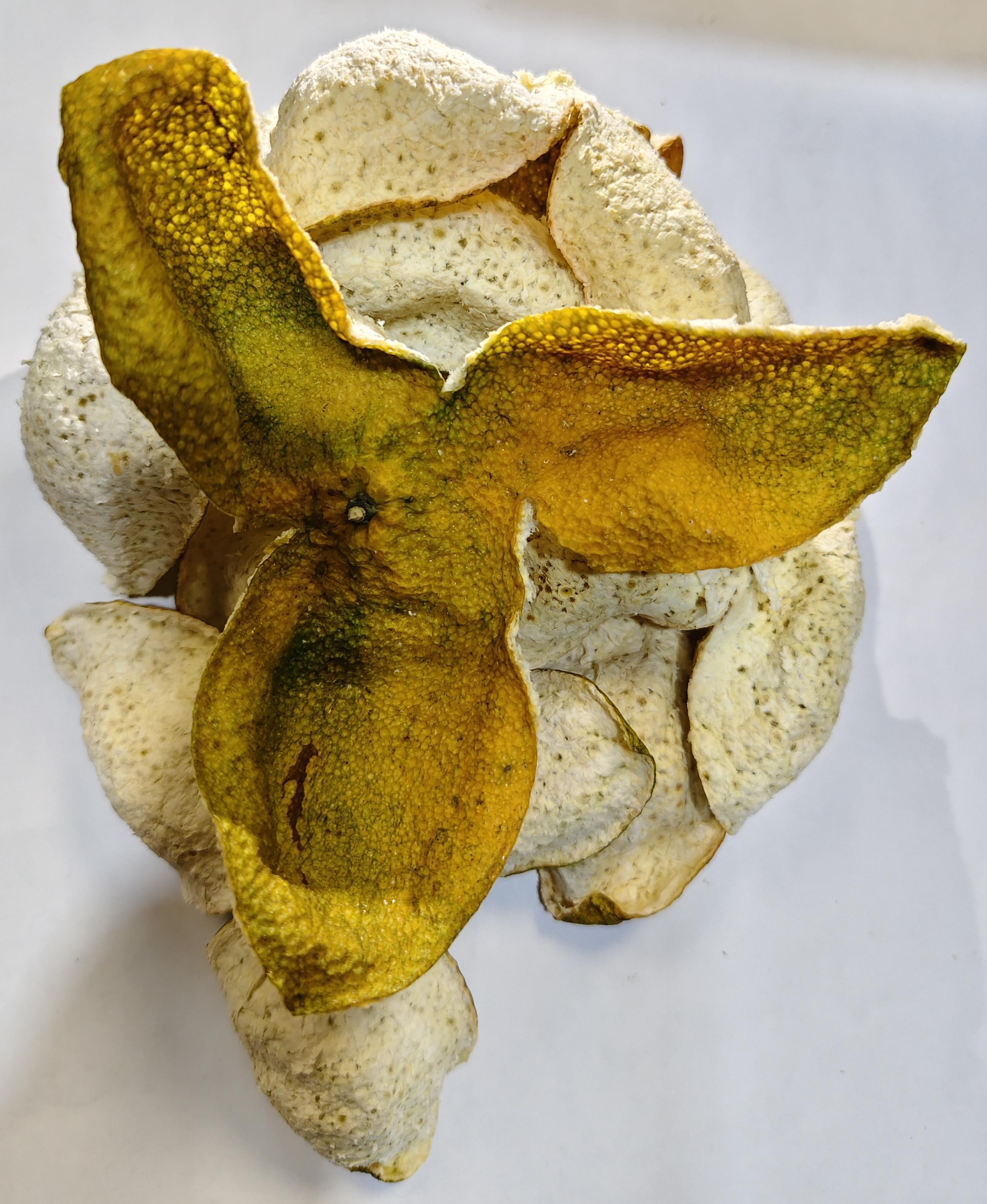 广东新会南坦老树驳枝2025年新皮陈皮代用茶