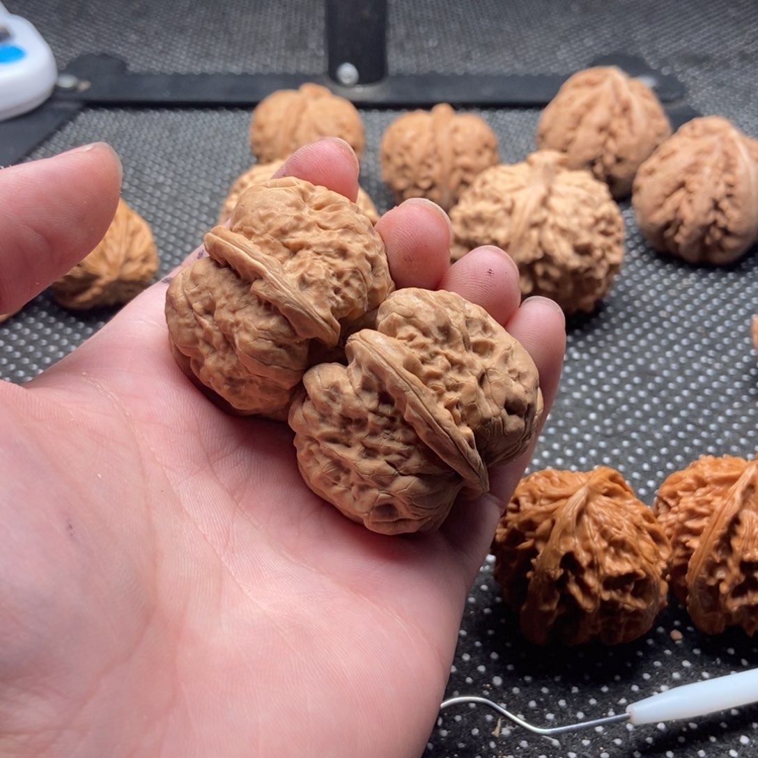 文玩核桃把件斯****n蛤蟆头