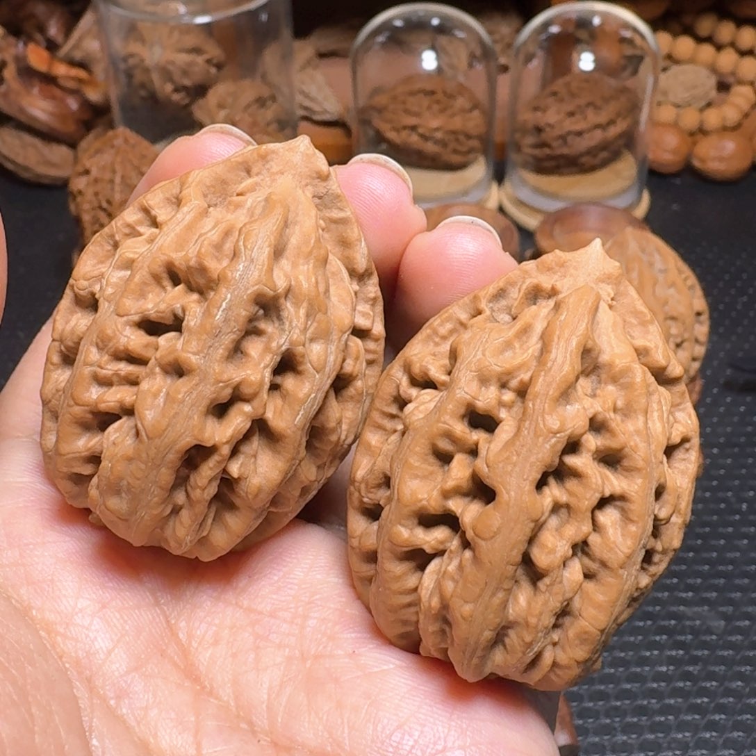 文玩核桃把件沉水红珊瑚