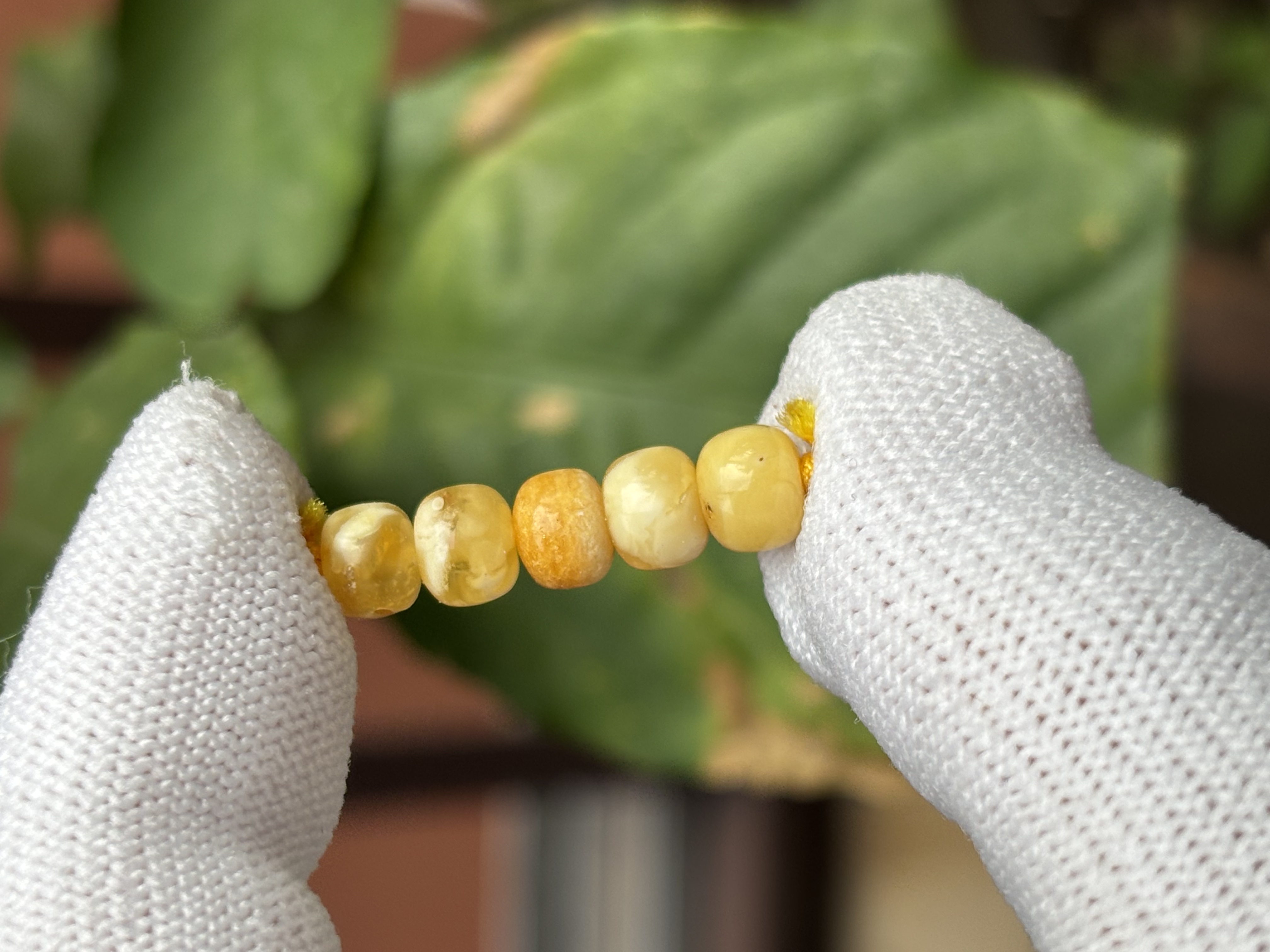 5278天然蜜蜡琥珀老型墩子6.6x5.4mm