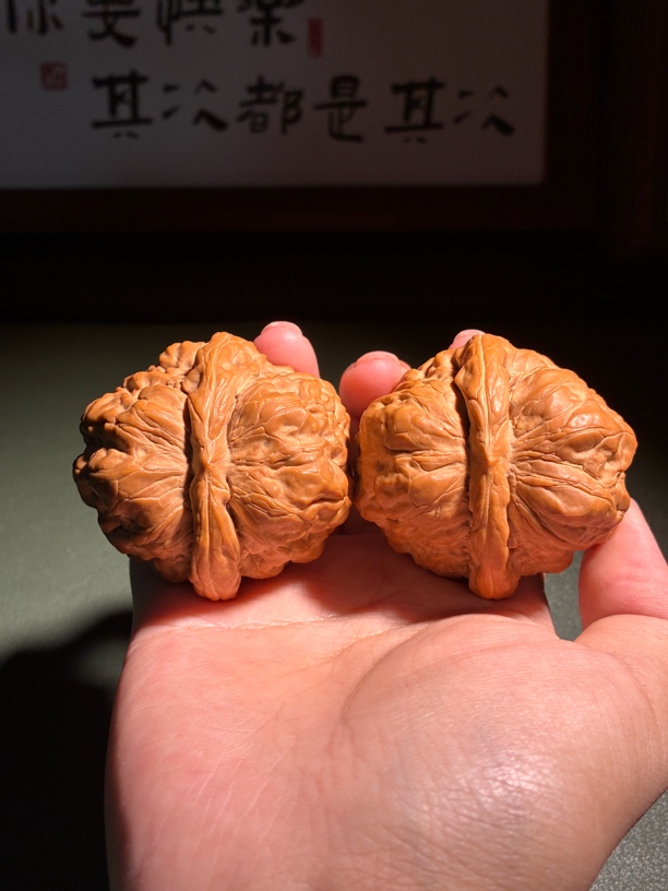 超级大克重大尺肌肉蛤蟆头