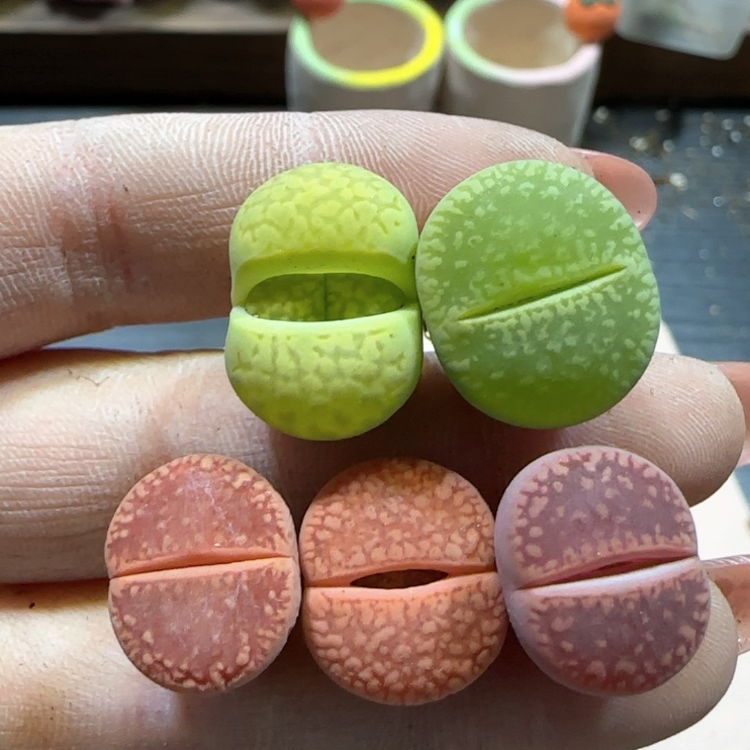 2.18。 彩套。 8011