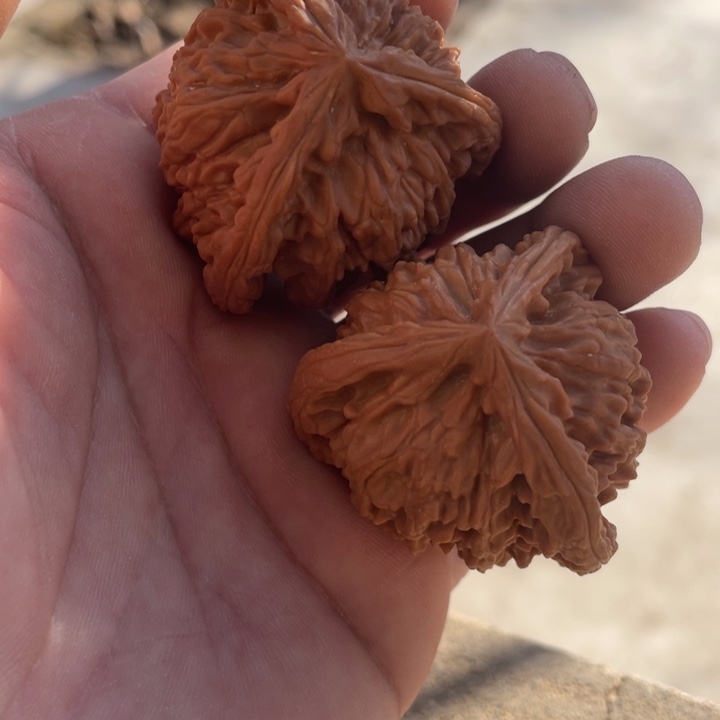 酱***店文玩核桃吊坠三棱三棱三棱三棱