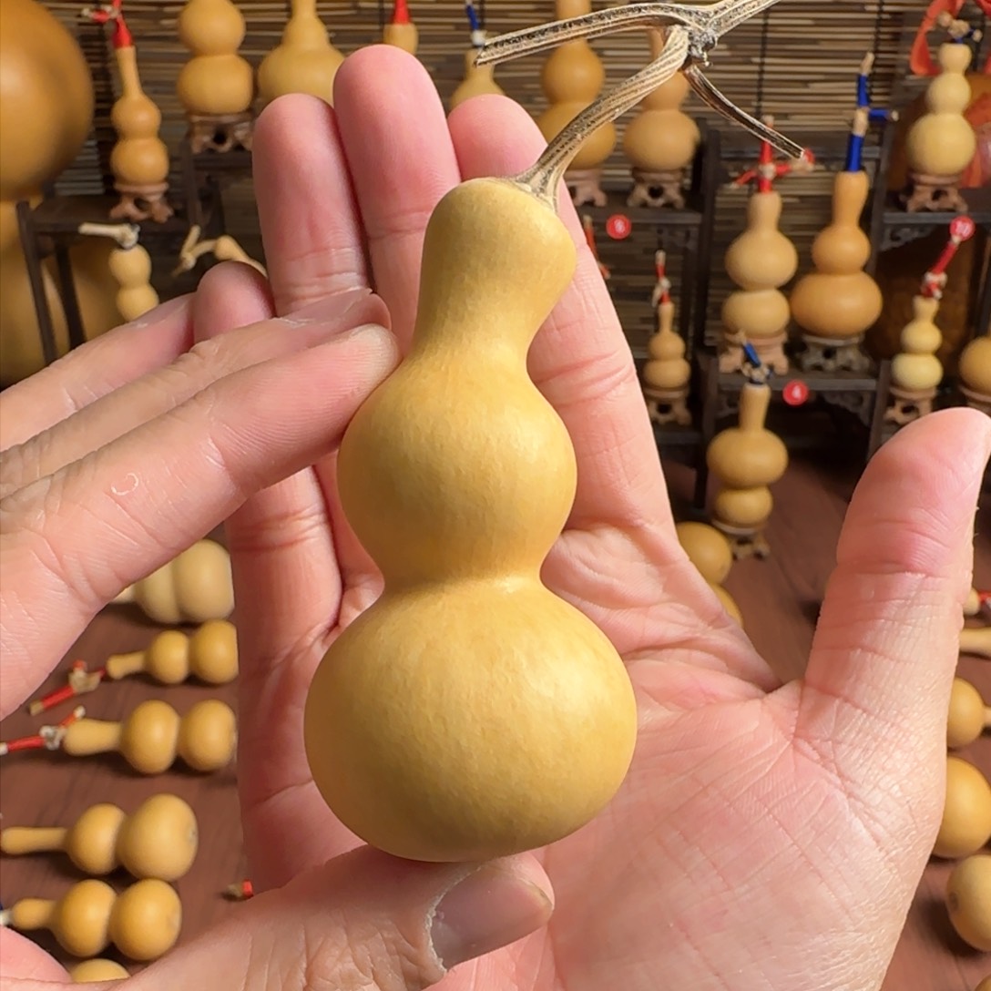 弯嘴爆头粗嘴四六肚八宝