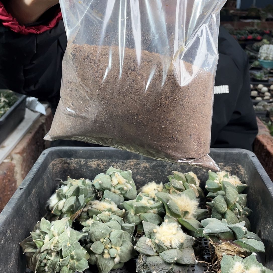 ?****?5袋三斤的颗粒吐