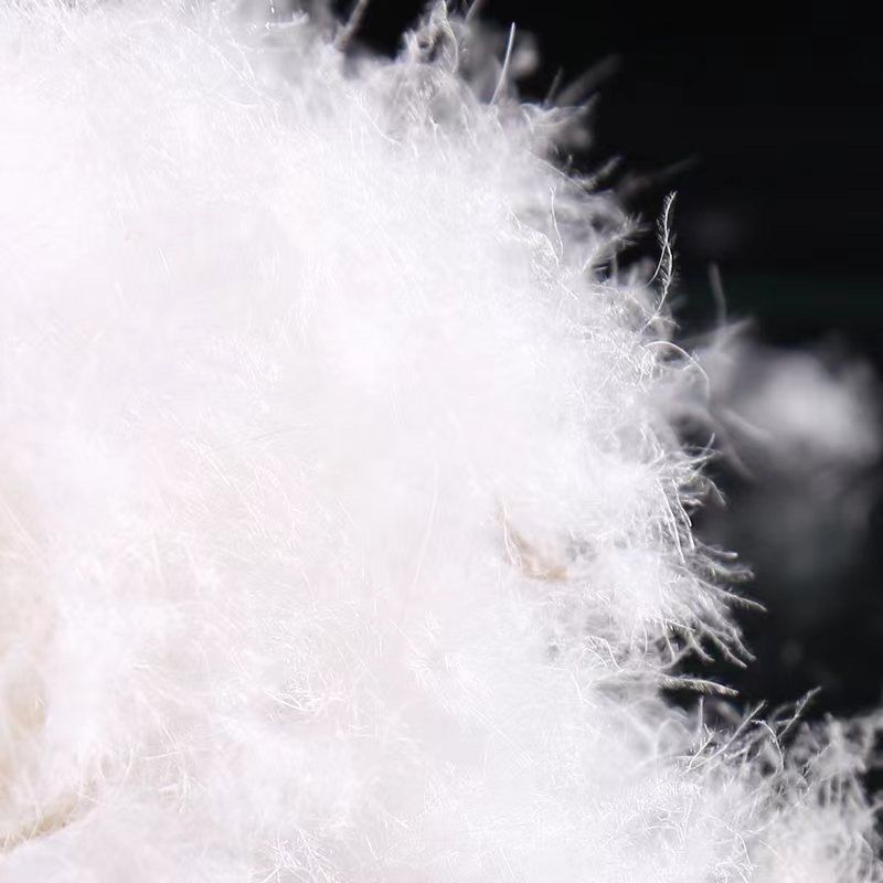 羽绒散装新升级抗菌保暖95大朵白鸭绒羽绒服羽绒被羽绒枕填充物料