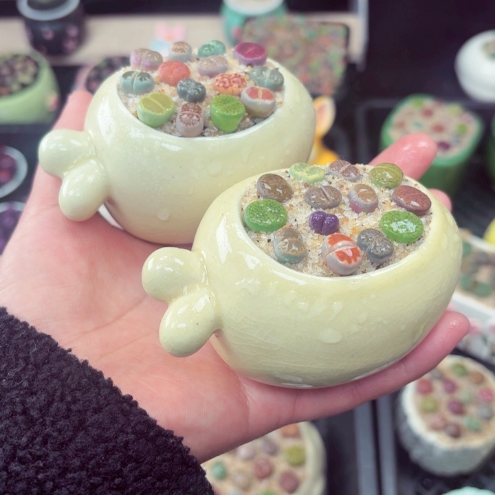 903零下地区记得拍保温箱