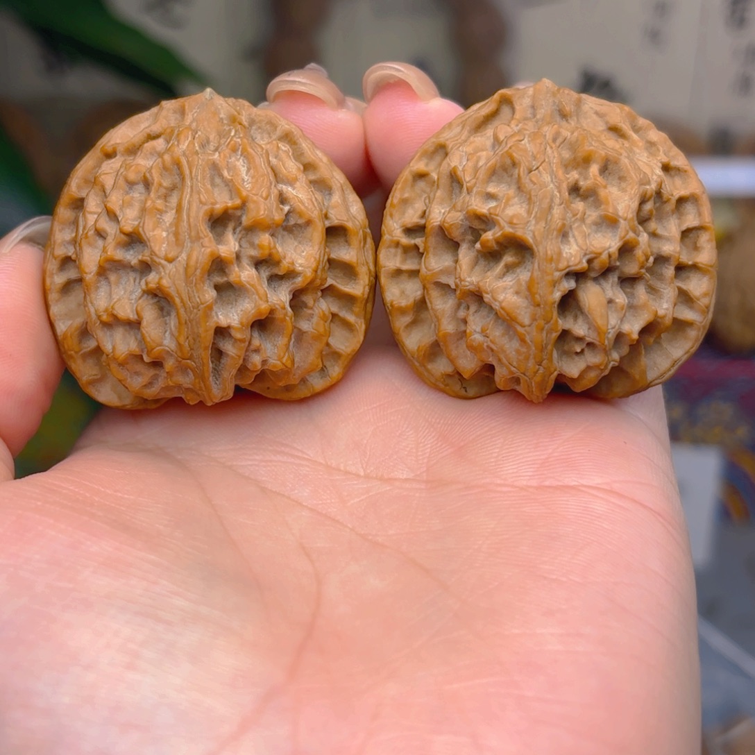 记***哦苹果园狮子头四十一尺