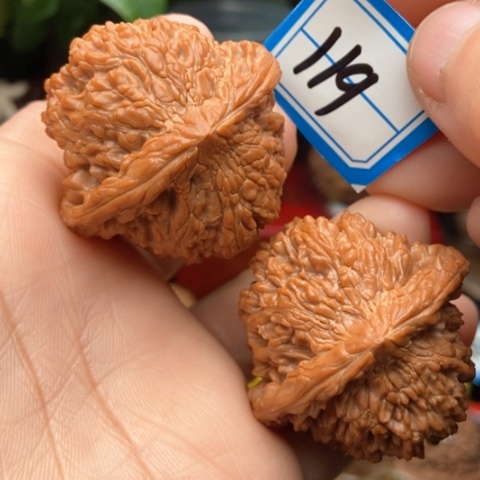 文玩核桃吊坠满天星40全品