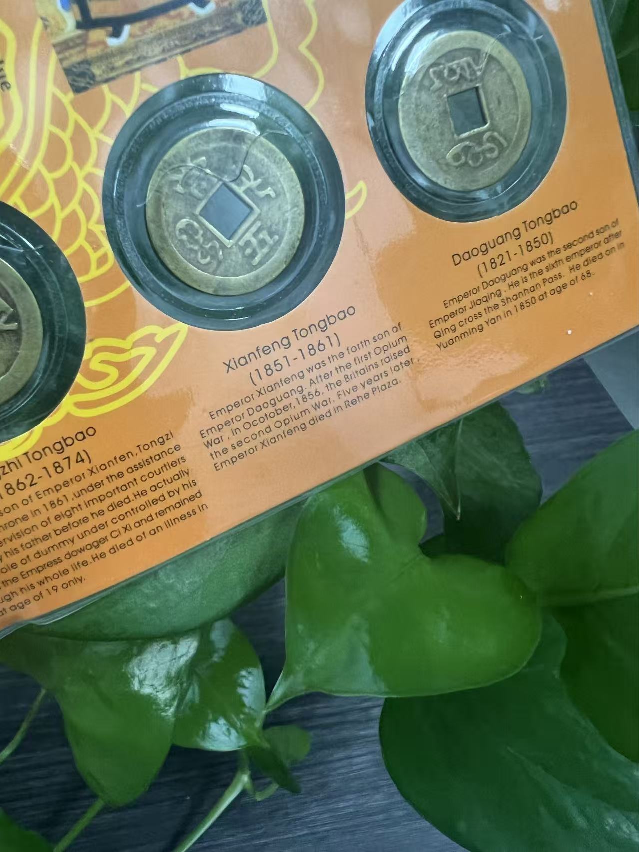 （W0040）家居摆件