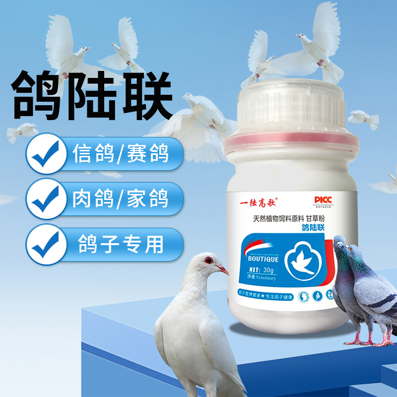 【一陆高歌】鸽陆联鸽子营养肉鸽赛鸽信鸽宠物鸽子鸟类通用掉毛
