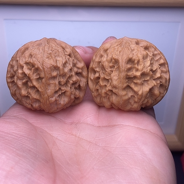 核桃全品小尺野牛