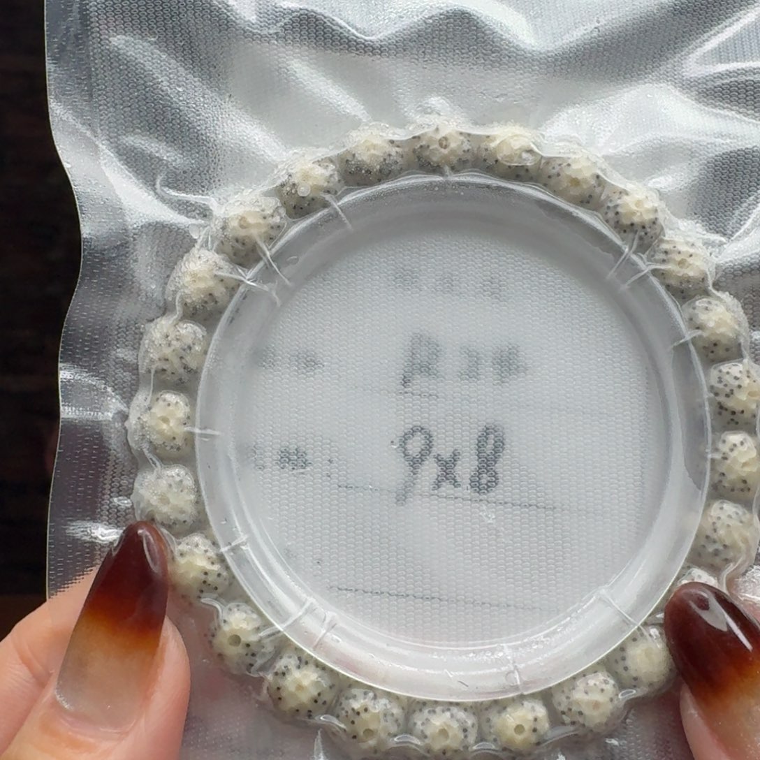 @***@手串星月菩提24 星月菩提