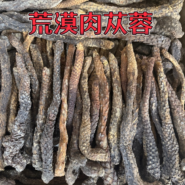 内蒙古阿拉善肉苁蓉秋冬季节采挖沙漠人参可泡酒泡水炖汤整根发货