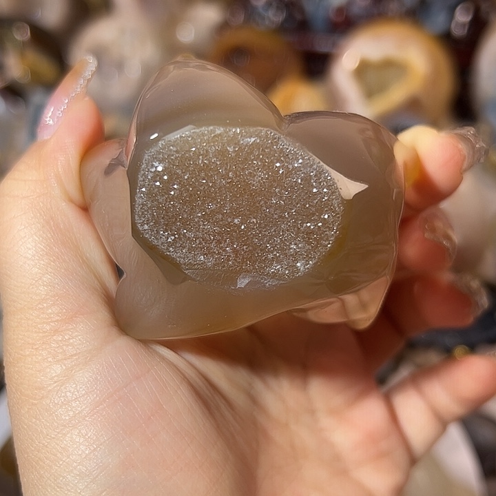 玛瑙/玉髓无未镶嵌海星