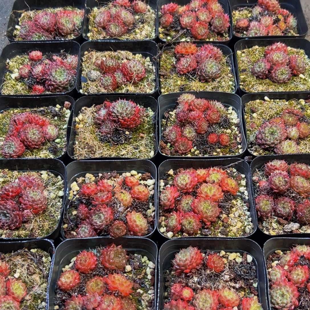 123点点滴滴的点点滴滴