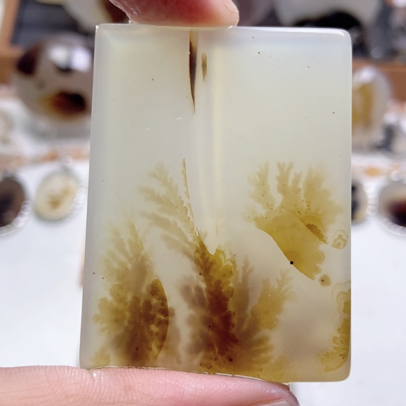 【闪购商品】玛瑙/玉髓颈饰未镶嵌