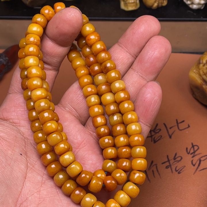 驼骨其他人工养殖