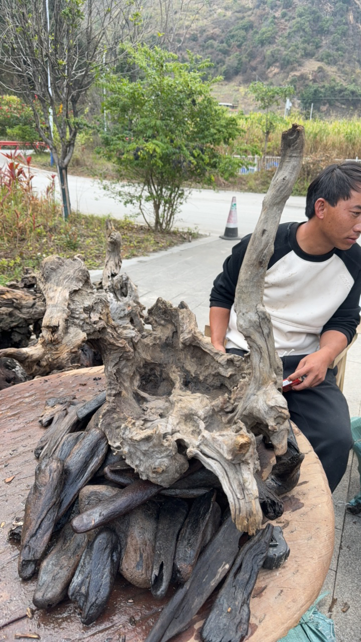 民间使用风化木漂流木