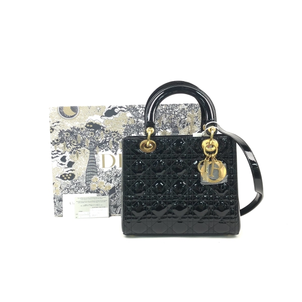 妃鱼/迪奥/95新/包包/市场价48000/250117RN0019