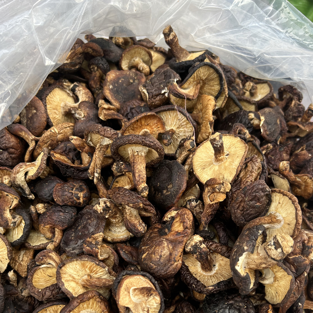 广西香菇  野香菇  气味香浓甘