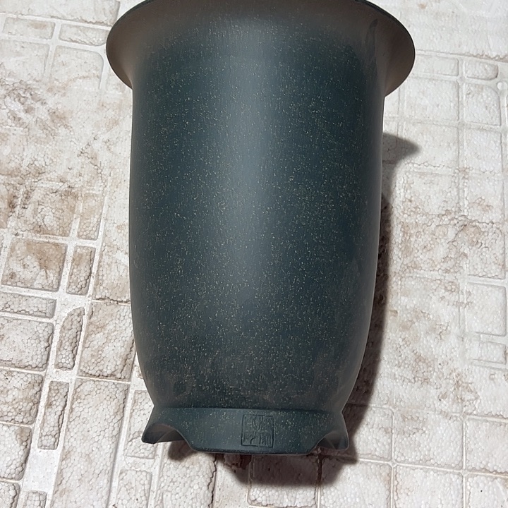 疾***草花盆紫砂微瑕大金钟豆青