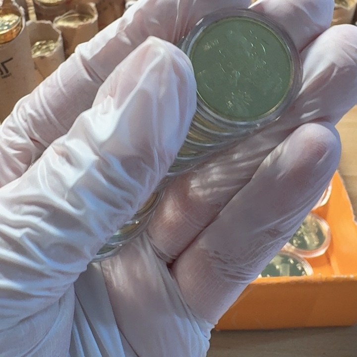 其他普通金属10枚，一轮虎币