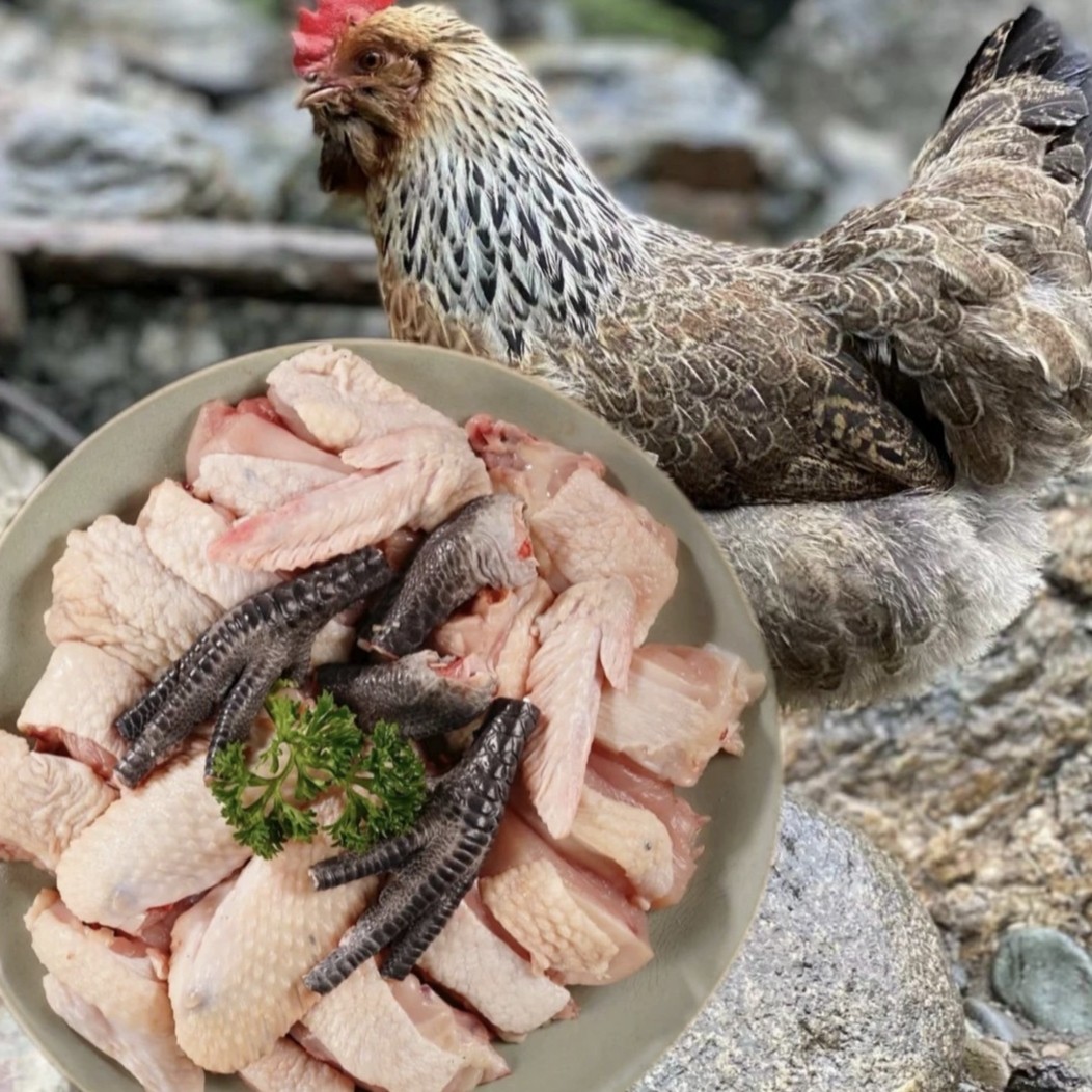 龙胜高山放养300天左右，龙胜凤鸡，1只毛重4斤左右，168元。