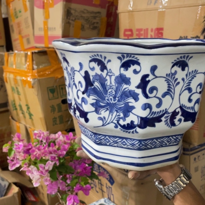 陶瓷C6600000000000大号