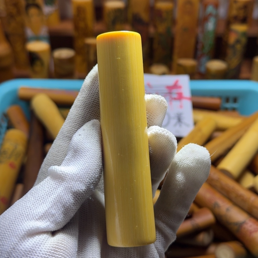 竹类精品实心玉竹