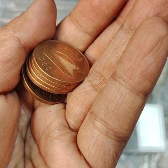 普通金属币爱尔兰十枚
