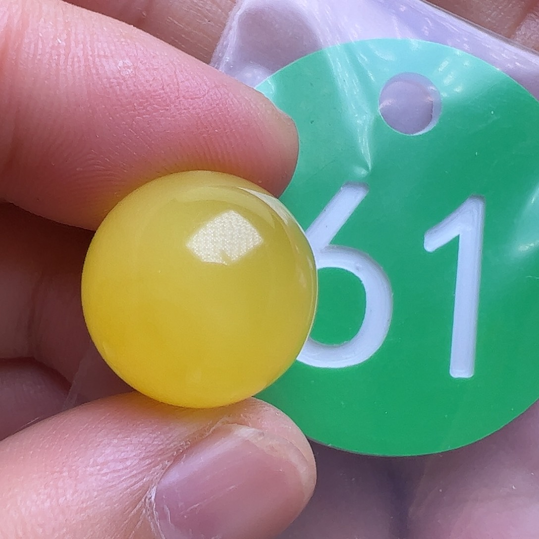 蜜蜡未镶嵌珠宝奇石15.6m m