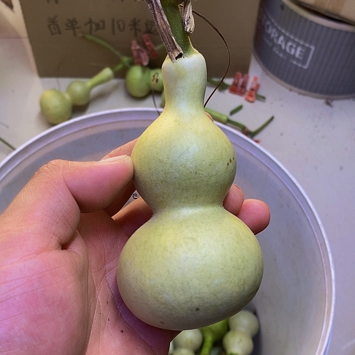 迷**活长嘴哈哈哈哈哈哈哈哈哈哈哈