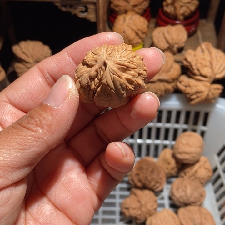 哈***哥核桃单只尺寸31全品