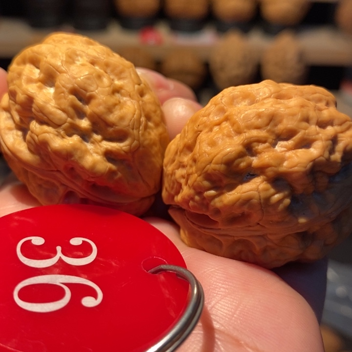 木质类魔鬼肌肉蟾36尺寸