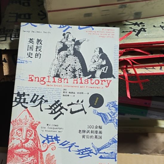 英吹斯丁，一本没有塑封的书。