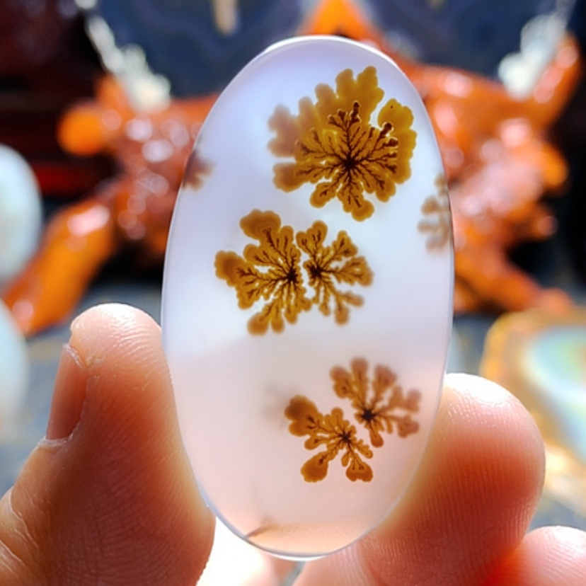 【闪购商品】玛瑙/玉髓颈饰未镶嵌