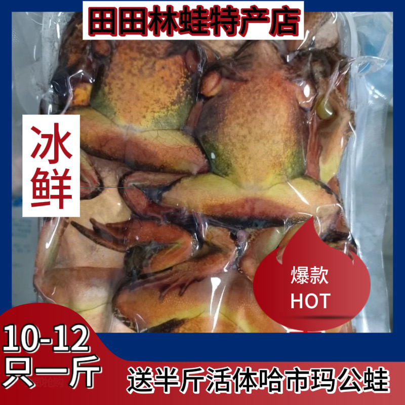 冰鲜速冻特大10-12只一斤送半斤哈什玛公蛙