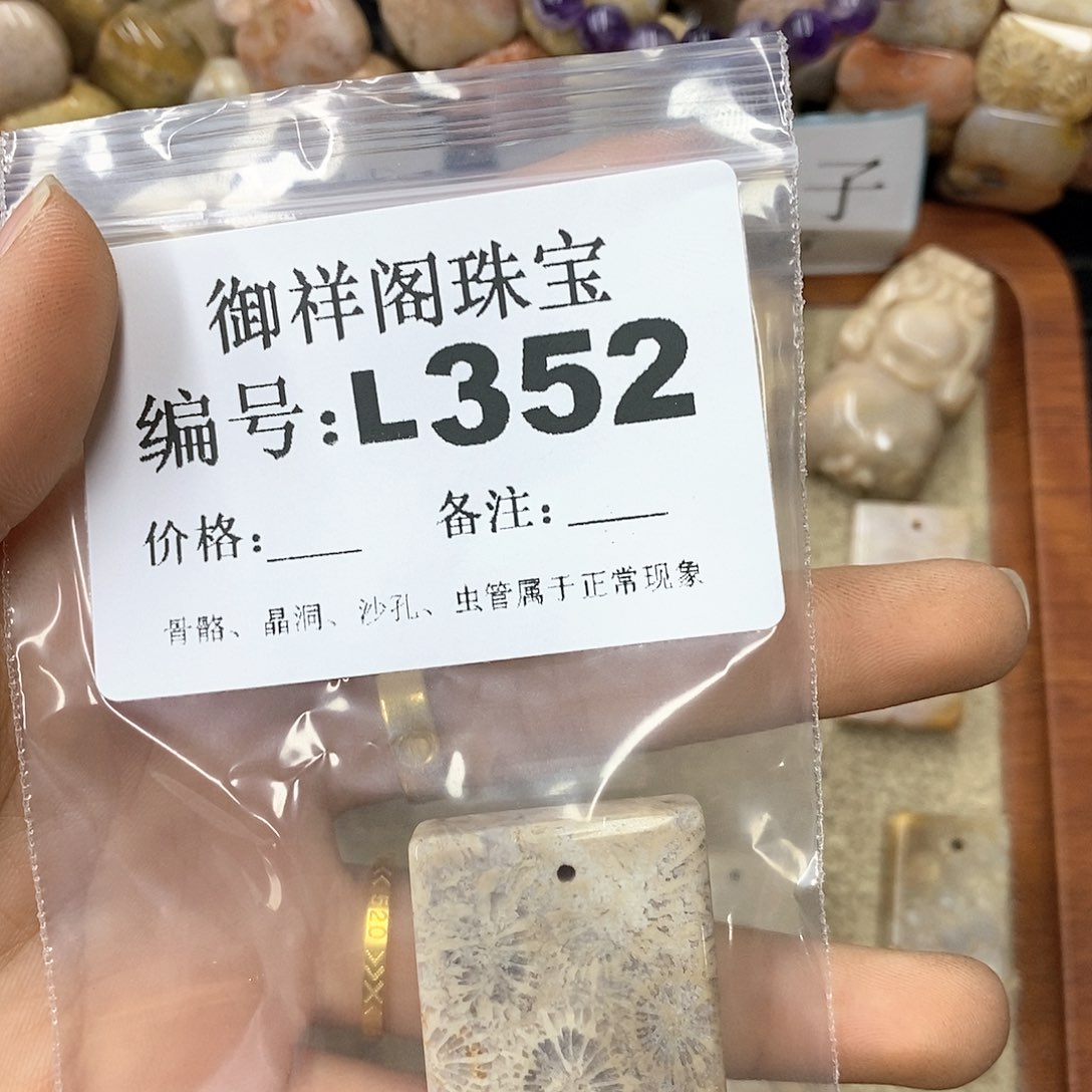 硅化珊瑚（珊瑚玉）n未镶嵌澜