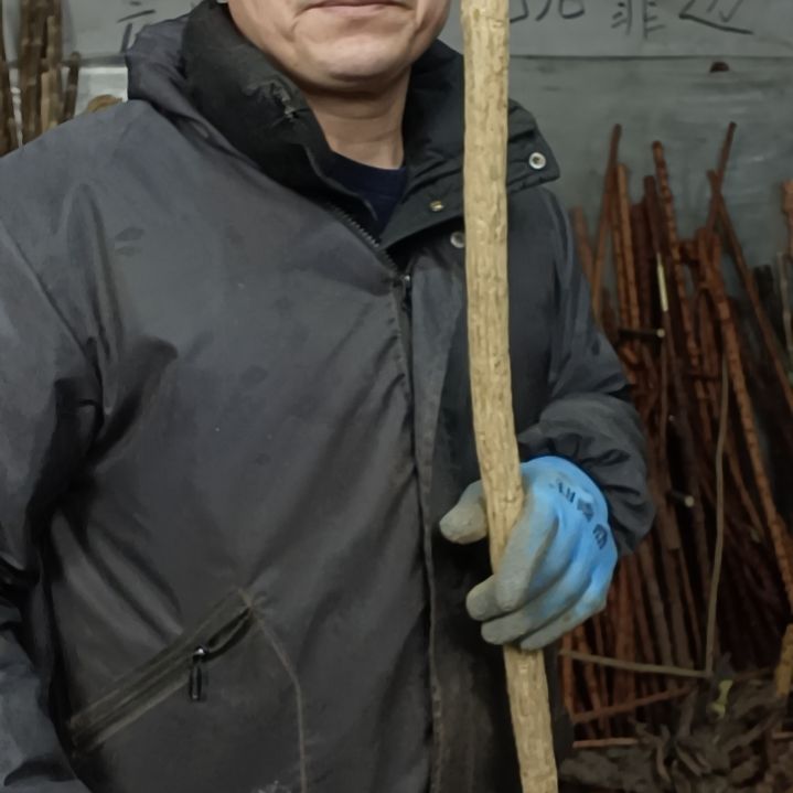 稳定木哈*贵州檬子木   铁马鞭   根艺  半成品