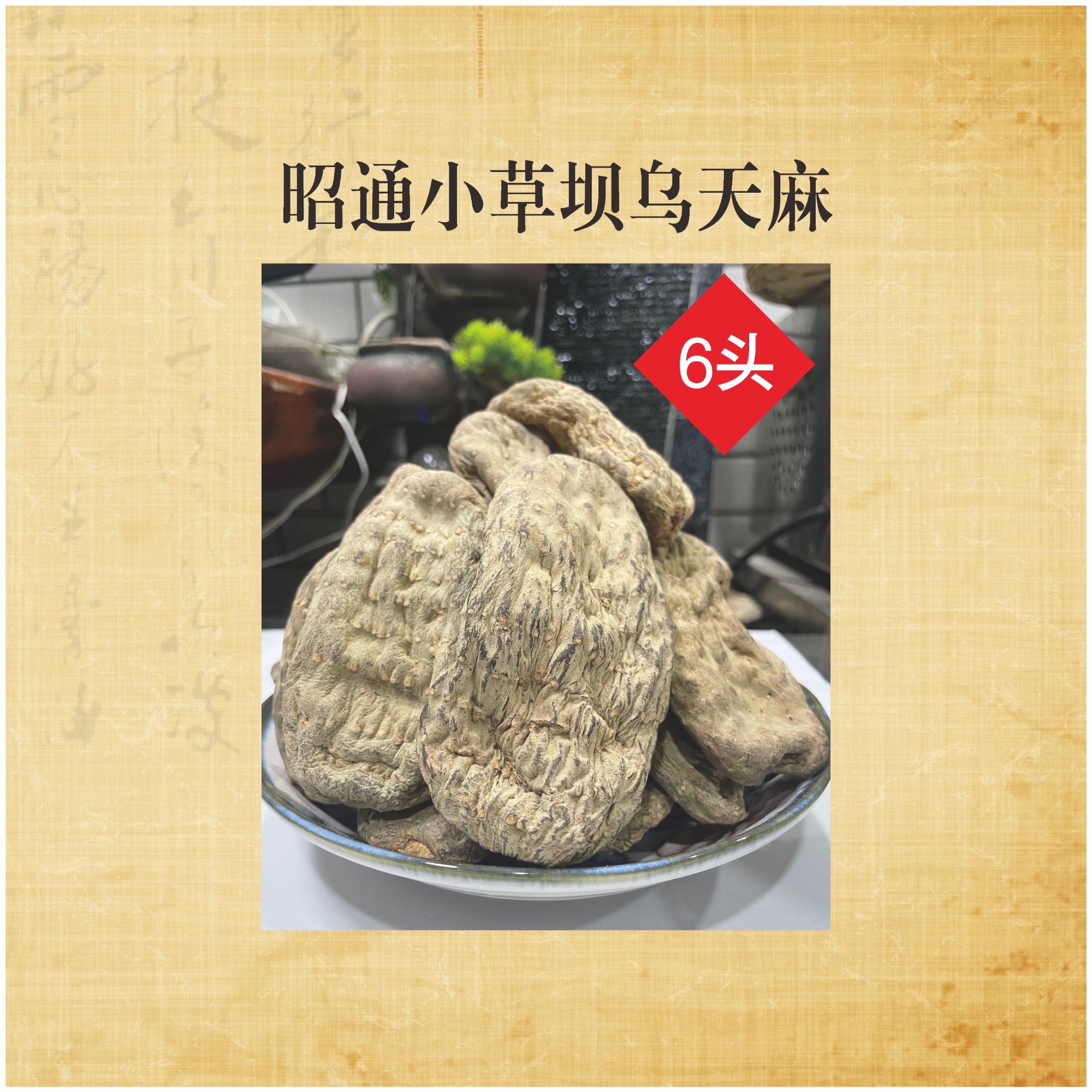 昭通乌天麻高山高原三七特产煲汤必备干货（6头就是6个有四宝粉