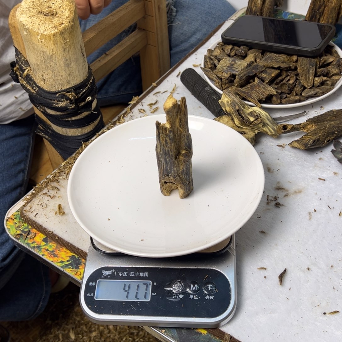 线香奇楠虫漏香41克