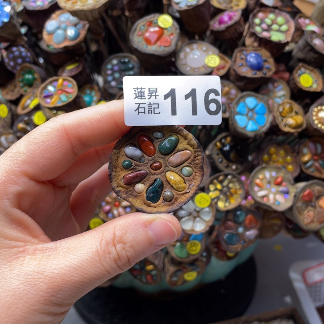 核桃木/黑胡桃（胡桃木）绵**羊116