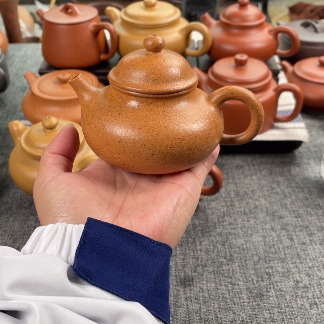 紫砂茶壶黄降坡容天全手30目190